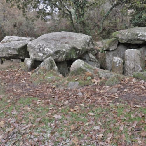 Dsc 0161 dolmen de kermarquer 01