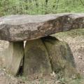 Dsc 0247 dolmen du puy de pauliac aubazine correze 26 04 2013