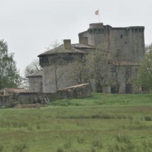 Dsc 0484 chateau de tennessus amailloux deux sevres nord de parthenay